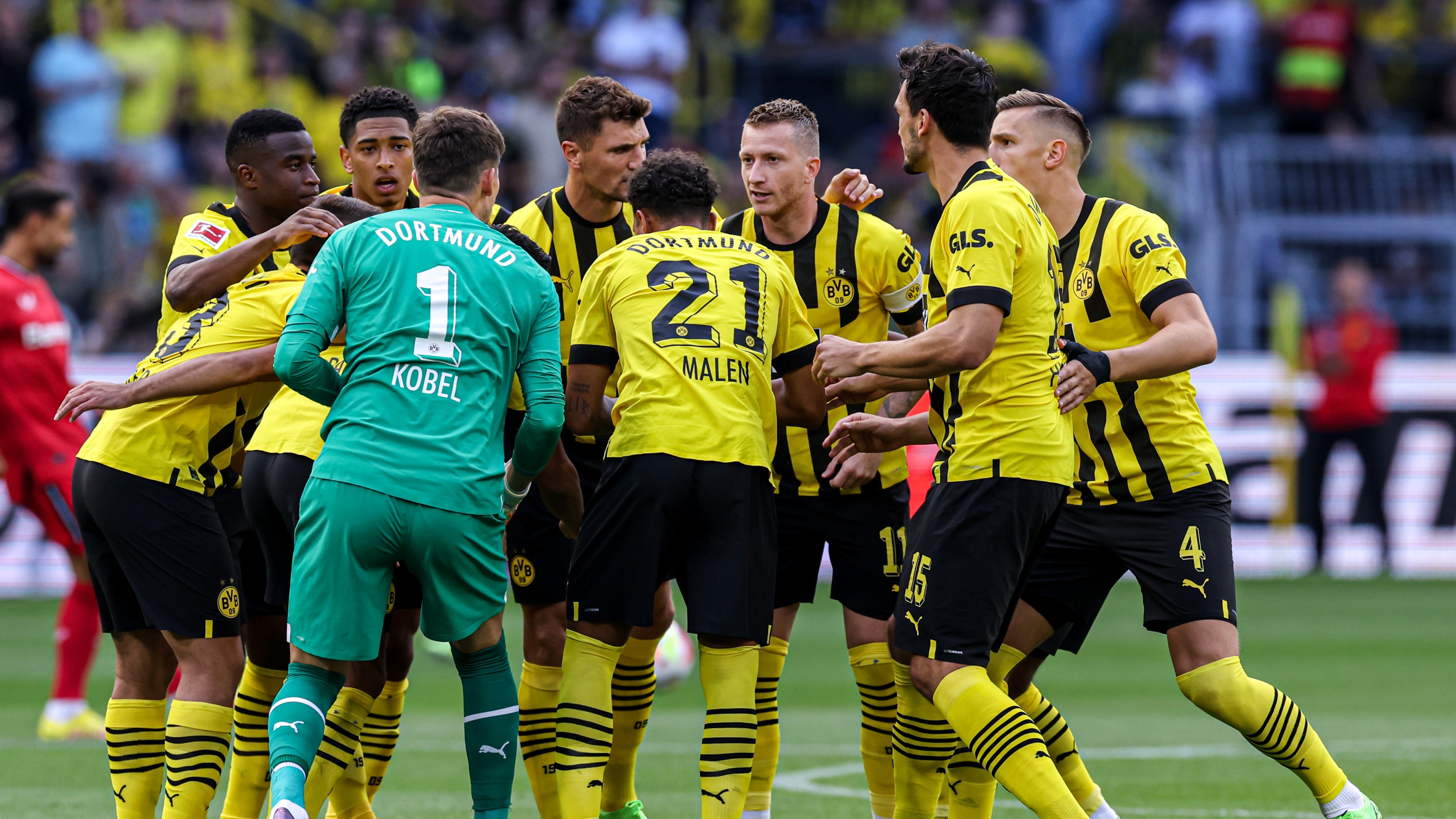 50吨植物油精炼设备