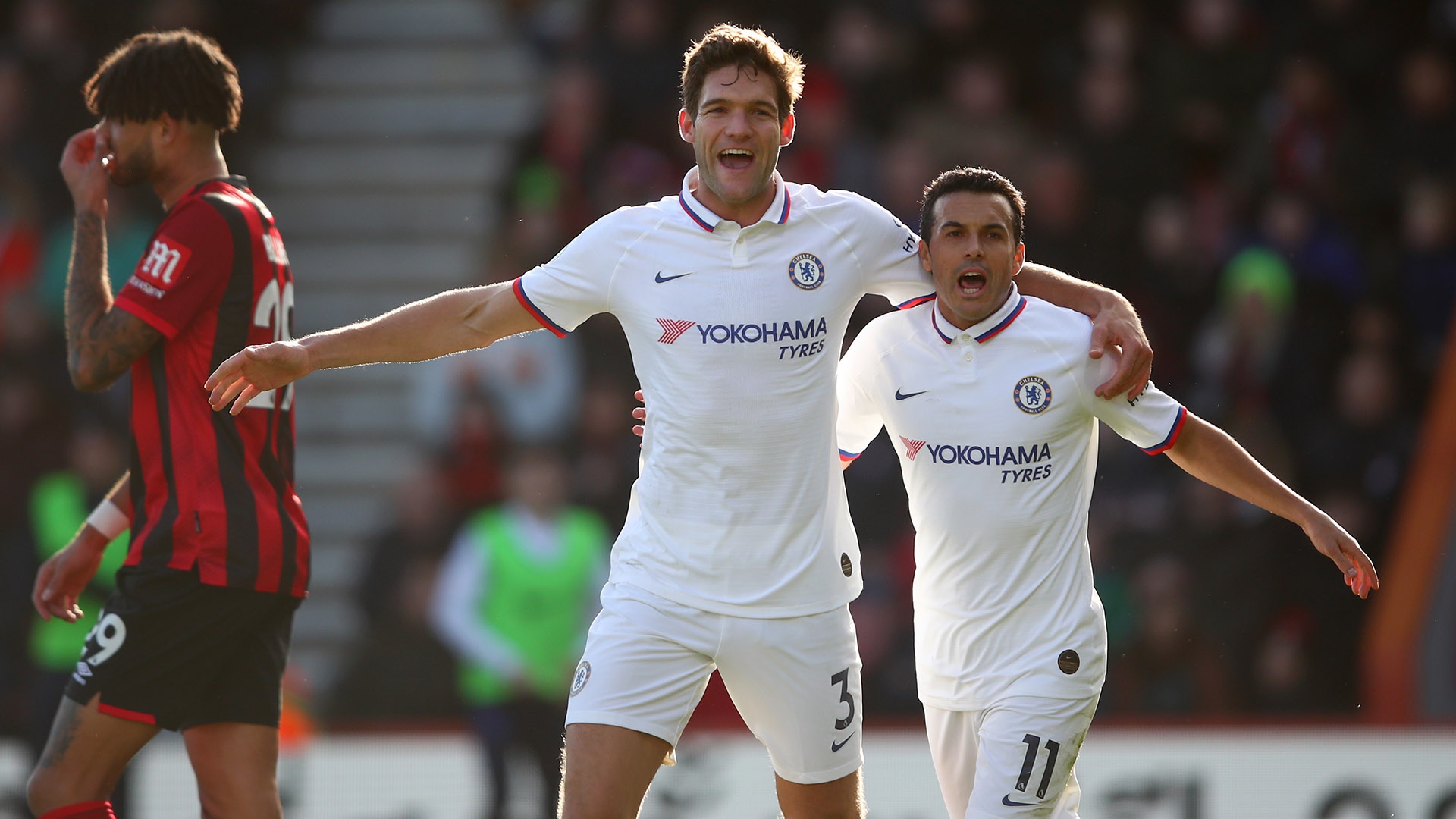 50吨植物油精炼设备