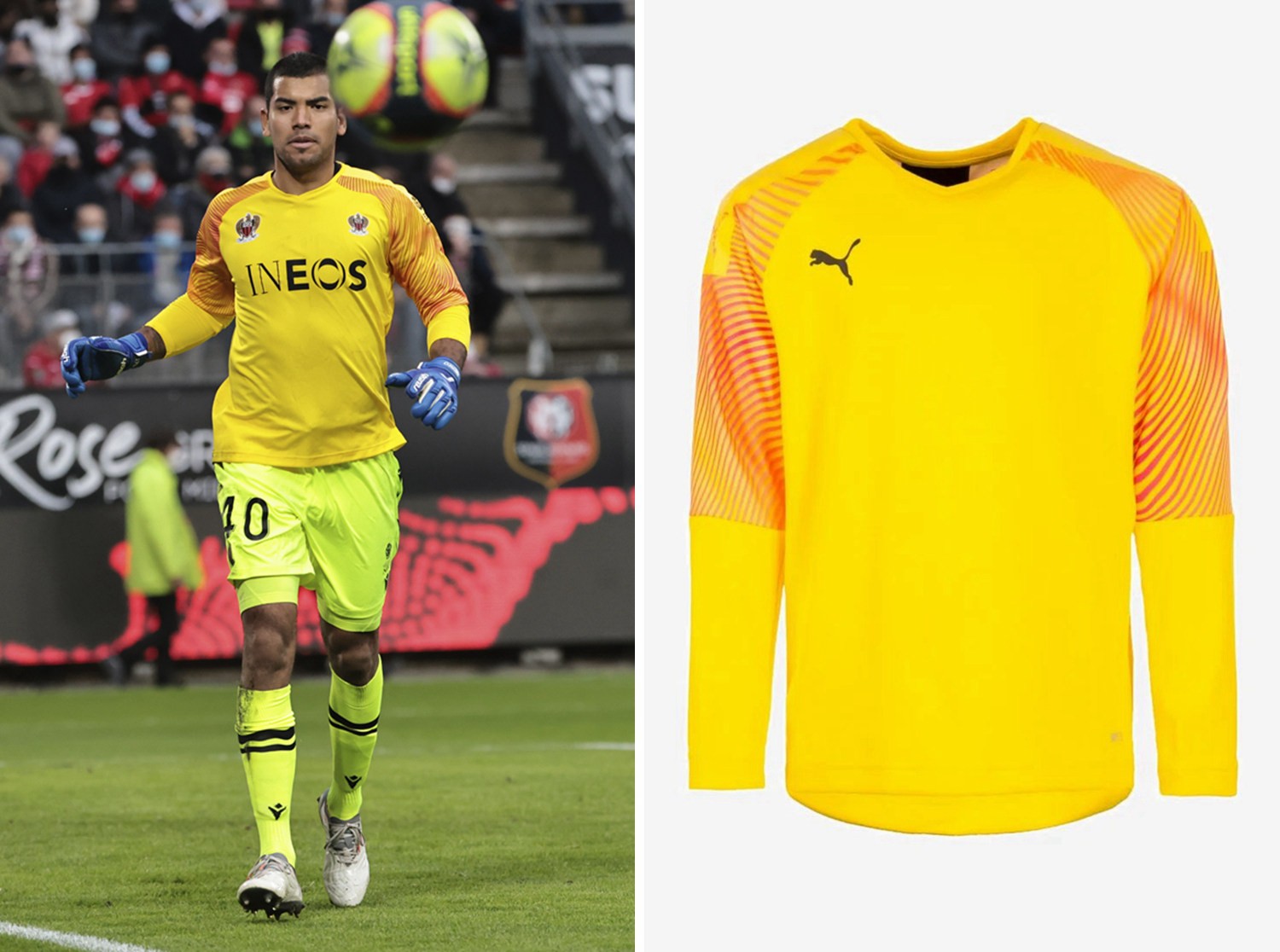 小规模的茶籽油生产线